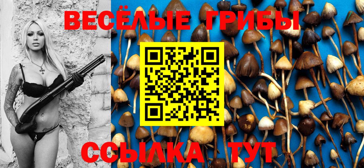 Псилоцибиновые грибы Cubensis Городец