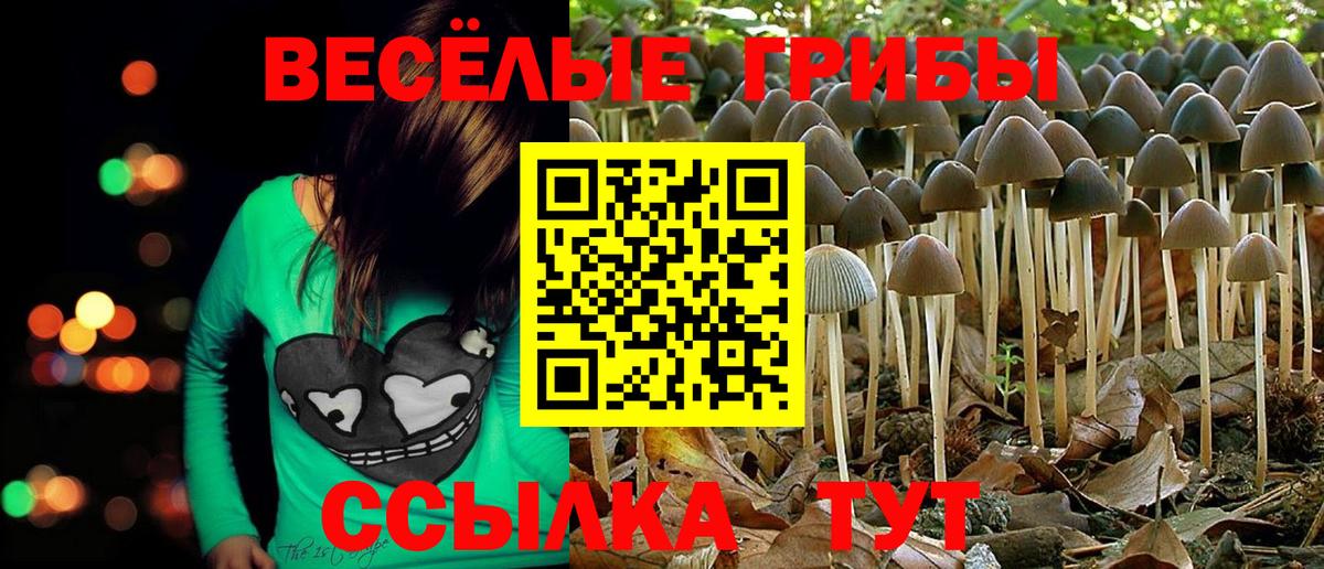 Городец  Галлюциногенные грибы GOLDEN TEACHER  Вход с VPN  Псилоцибиновые грибы Psilocybe 